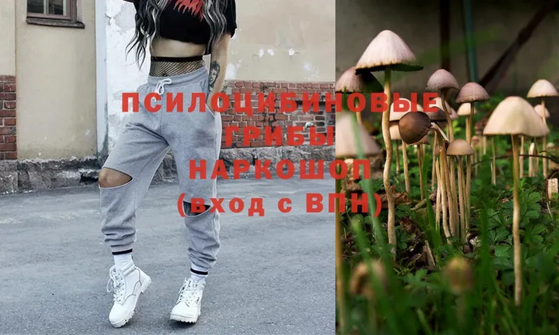 Галлюциногенные грибы Psilocybine cubensis  это телеграм  Заволжск  OMG как зайти 